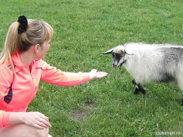 27270_image-17.jpg